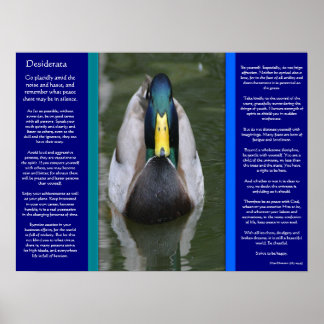 DESIDERATA Parece Posters de pato