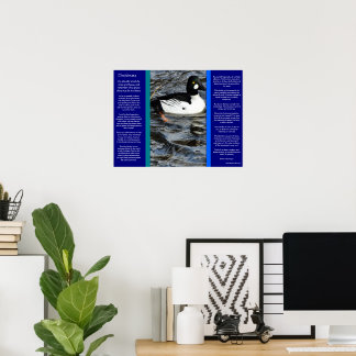 DESIDERATA Parece Posters de pato