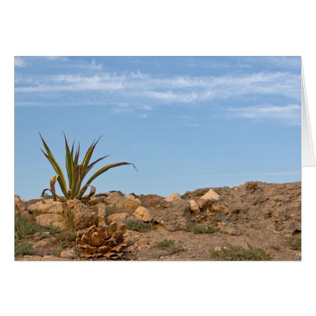 desierto (Anverso (Horizontal))