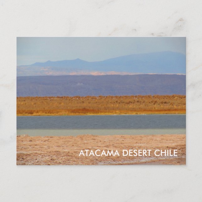 Desierto de Atacama, postal de Chile (Anverso)