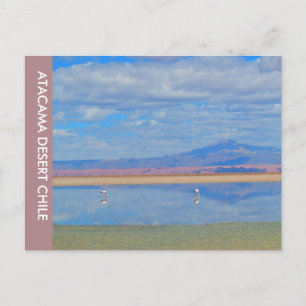 Desierto de Atacama, postal de Chile