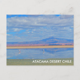 Desierto de Atacama, tarjeta postal Flamingo Chile