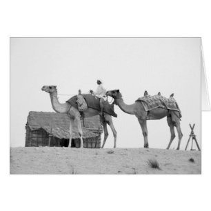 Desierto de B&W Dubai