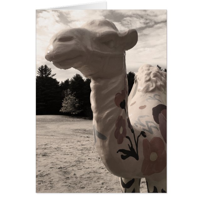 desierto de maine (Frente)