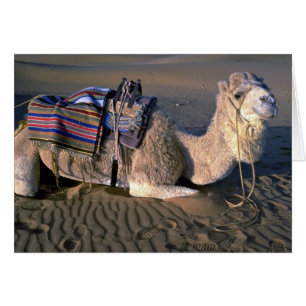 Desierto del Sáhara cerca de Merzouga, Marruecos