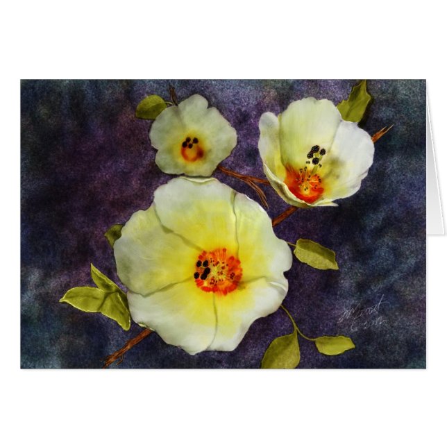 Desierto Hibiscus (Anverso (Horizontal))
