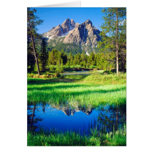 Desierto Sawtooth (Frente)