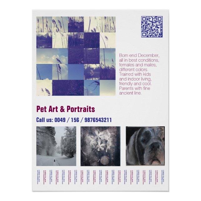 Designer Great Dane Puppy Poster (Anverso)