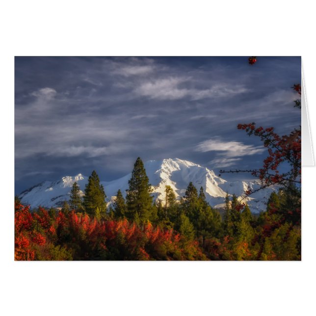 Despertar (Anverso (Horizontal))