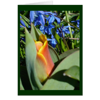 despertar de primavera