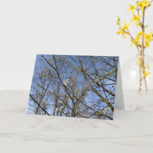 Despertar de primavera, tarjeta de flor de cerezo