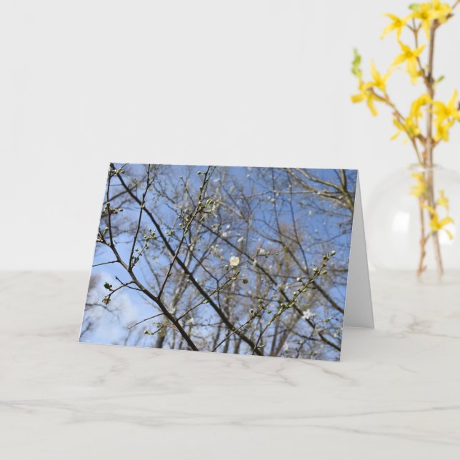 Despertar de primavera, tarjeta de flor de cerezo  (flor amarilla)
