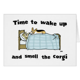 Despertar y Oler el Corgi