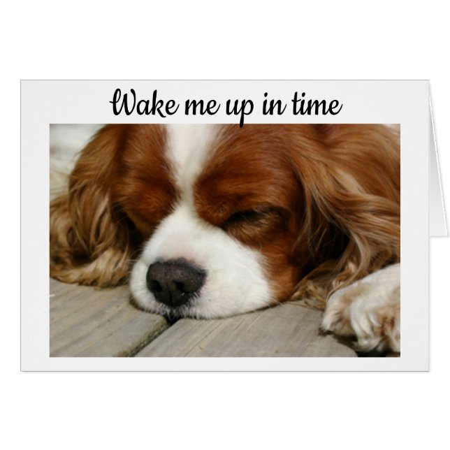 "DESPIERTA A TIEMPO" PARA TI Y SANTA (Anverso (Horizontal))