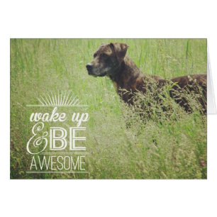 Despierta y sé un perro asombroso