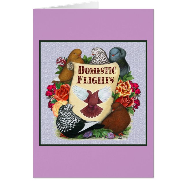 Desplazamiento de vuelo doméstico (Frente)