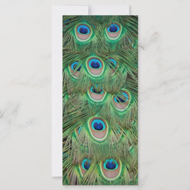 Desplome de pavo real (Anverso)