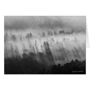 Después de la lluvia - ADK - Tarjeta
