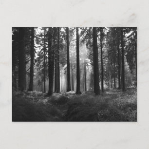 Después de la postal de la lluvia