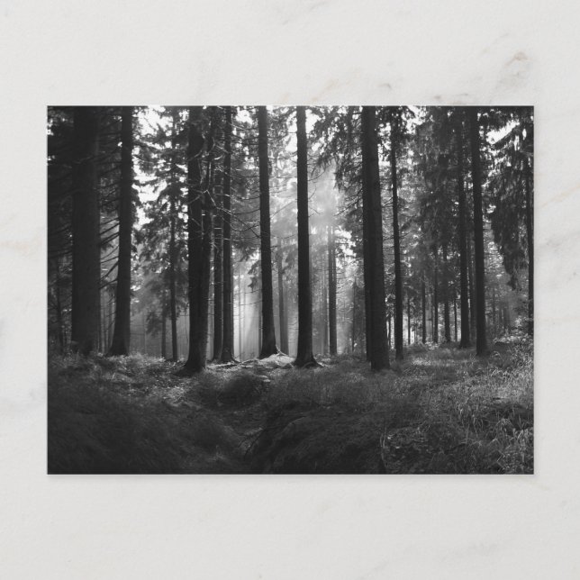 Después de la postal de la lluvia (Anverso)