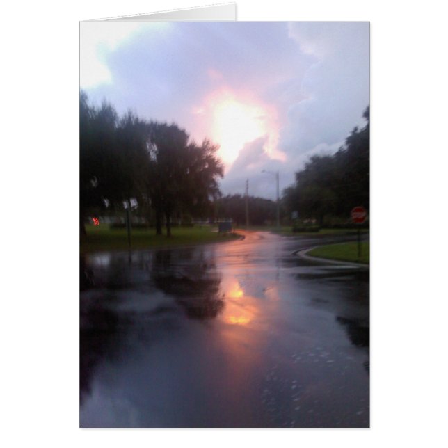 Después de la tormenta (Frente)