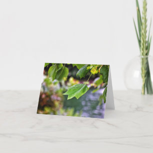 Después de las tarjetas de notas de lluvia