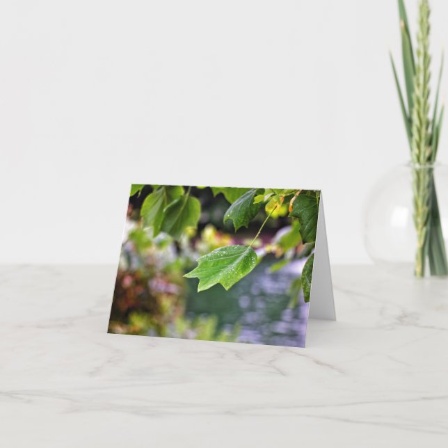 Después de las tarjetas de notas de lluvia (Anverso)