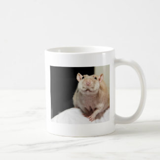 DESPUÉS DE TAZA DE CAFÉ