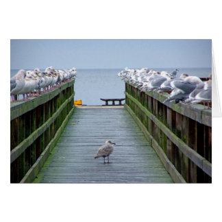 Destacar en la multitud