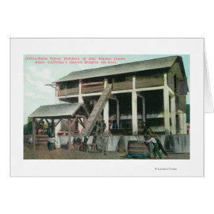 Destilería de Brandy, Colonia Italiana-Suiza