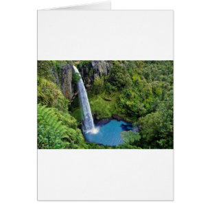 Destino del bosque del agua azul del parque de nat