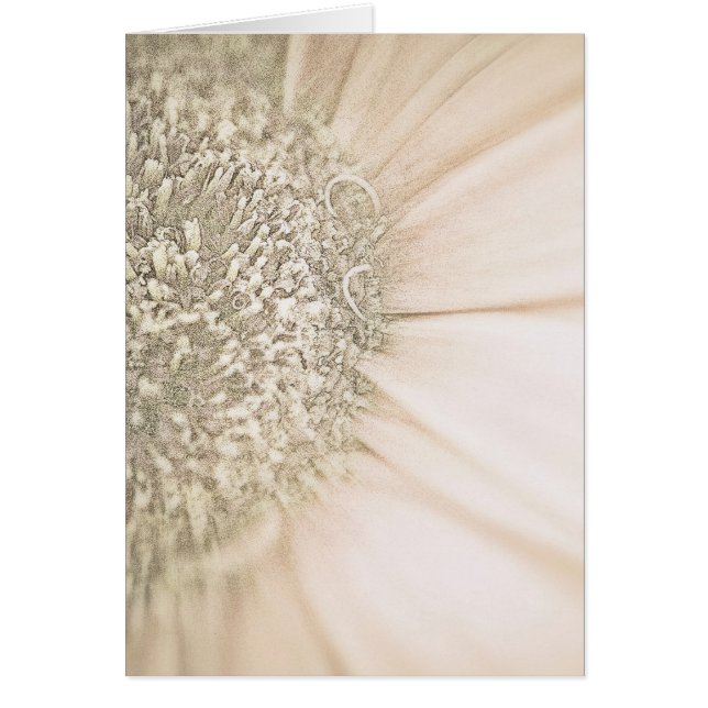 Desvanecerse en el oro (Frente)