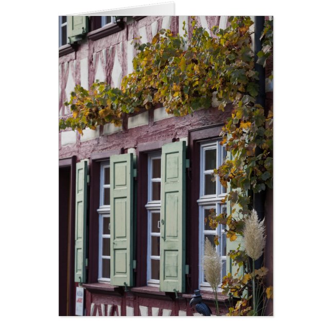 Detalle de Casa de Madera Vista (Frente)