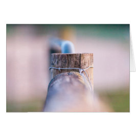 Detalle de Fenceline