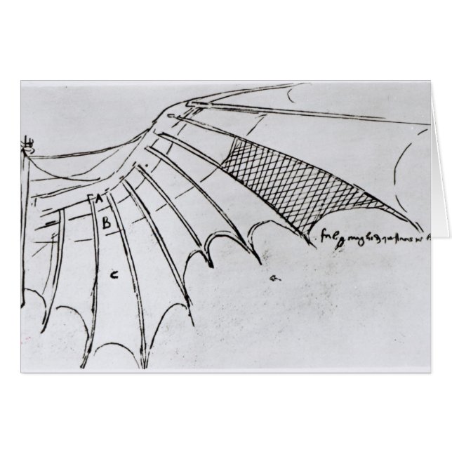 Detalle de un ala mecánica (Anverso (Horizontal))