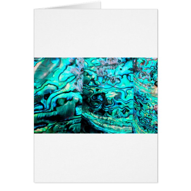 Detalle del caparazón de paus turquesa (Frente)