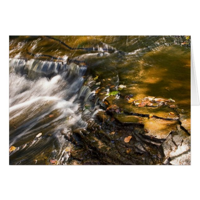 Detalle del río Chapel (Anverso (Horizontal))