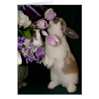 Detener y oler las flores