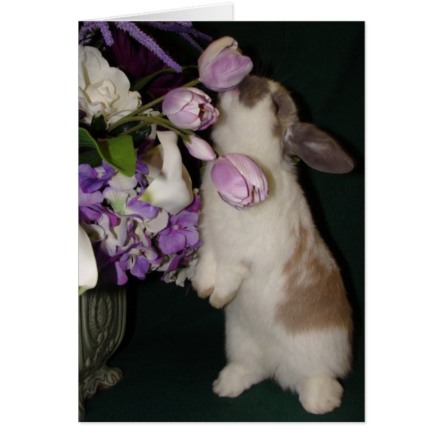 Detener y oler las flores (Frente)