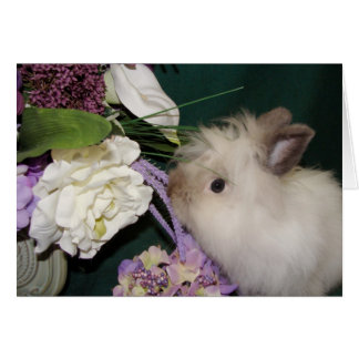 Detener y oler las flores 3