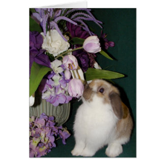 Detener y oler las flores 4