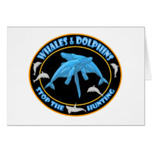 Detengan la caza de ballenas