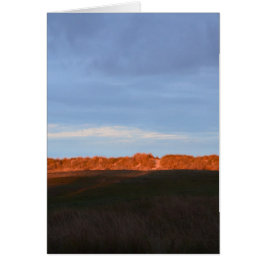 Detrás de las Dunas en Southwold