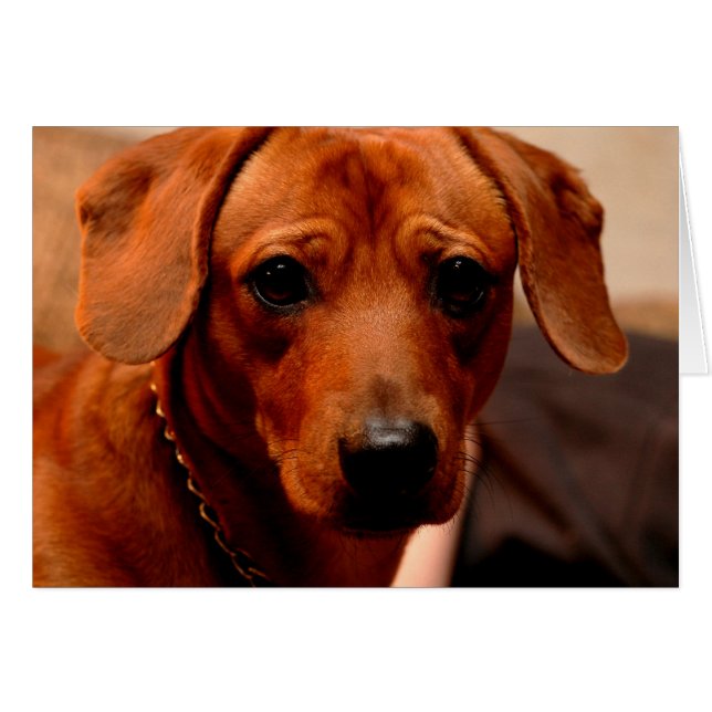 deuce (Anverso (Horizontal))