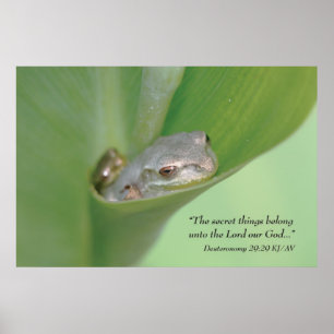 Deuteronomio 29:29 Impresión de secuencias de coma