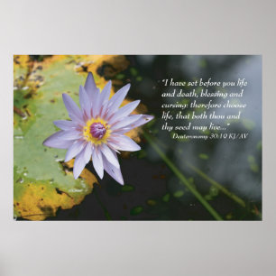 Deuteronomio 30:19 Impresión de secuencias de coma