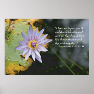 Deuteronomio 30:19 Impresión de secuencias de coma