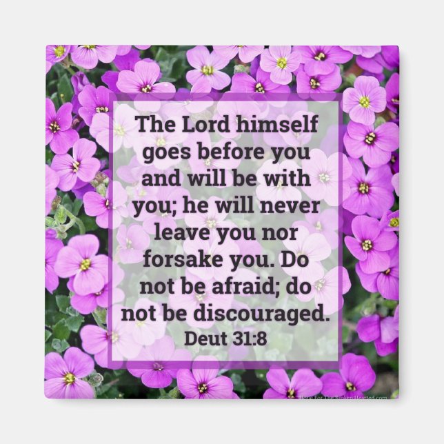 Deuteronomio 31:8 imán (Frente)