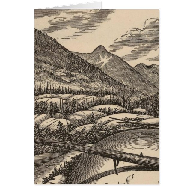 Devoluciones (Frente)