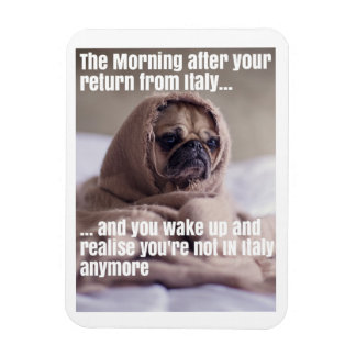 Devuélveme al imán italiano